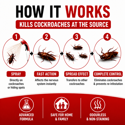 Cockroach Hunter Odourless Killer Spray with Extra Refill BUY 1 GET 1 FREE