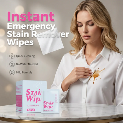 Portable stain remover wipes
